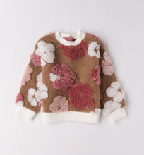 Lade das Bild in den Galerie-Viewer, Sweatshirt
