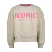 Lade das Bild in den Galerie-Viewer, Sweatshirt
