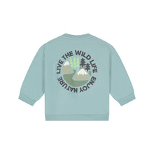 Lade das Bild in den Galerie-Viewer, Sweatshirt
